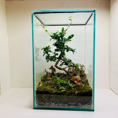 Carmona Bonsai Tree Terrarium for Corporate Gifting