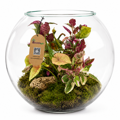 Colorful Tropical Glass Terrarium – Pink &amp; Green Mini Garden
