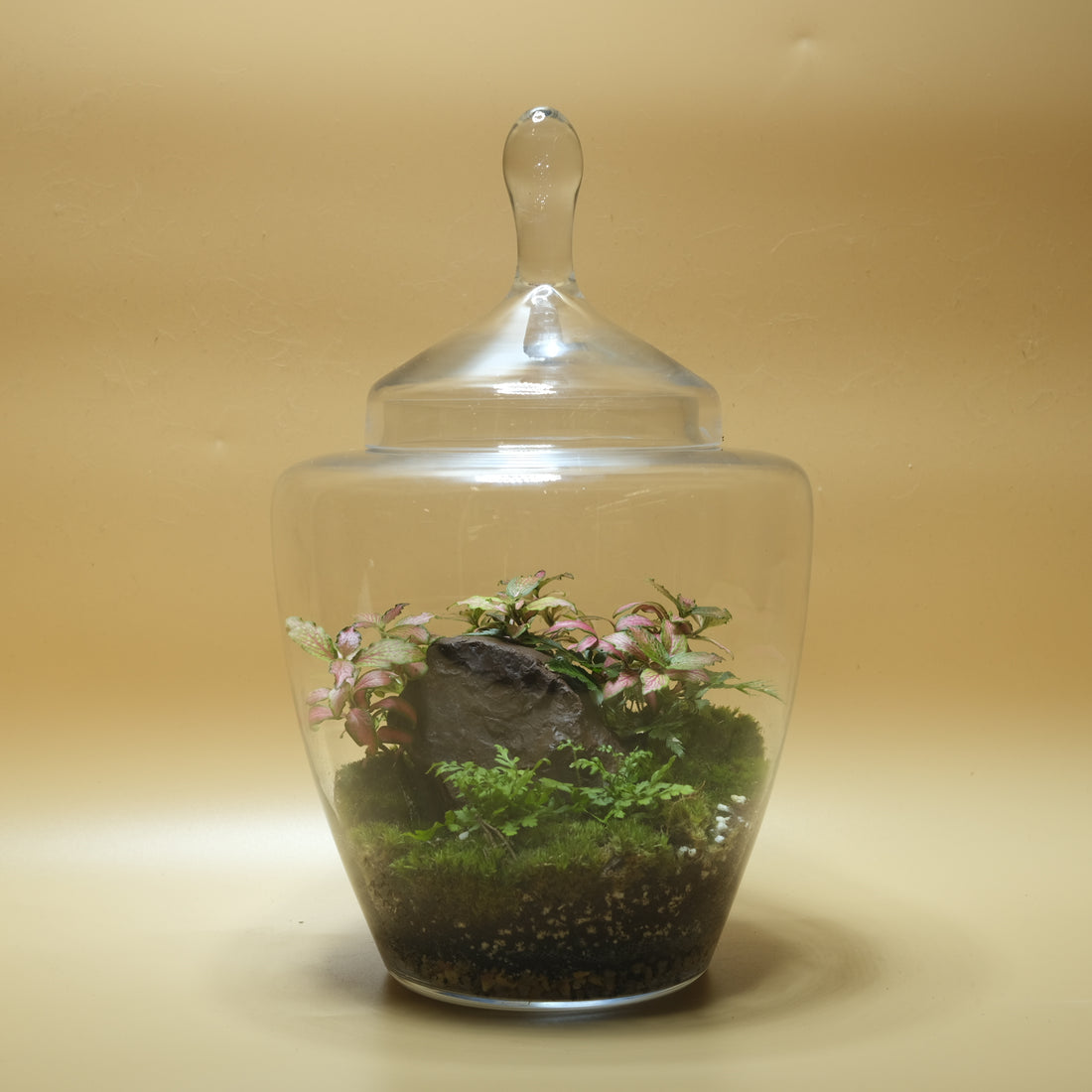 Flourishing Rock Hill Terrarium