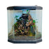 Fittonia and Mini Areca Terrarium in UAE