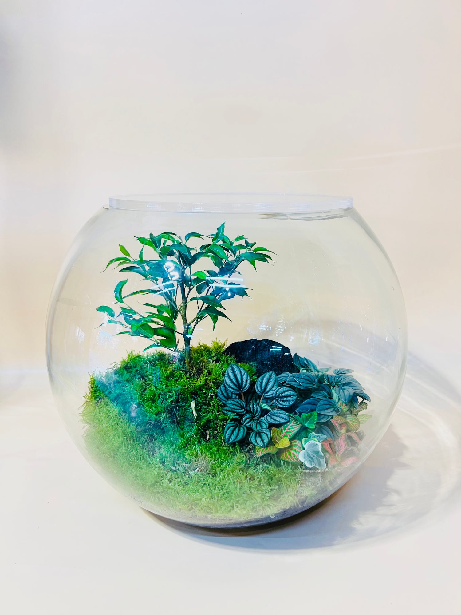 Forest Secrets Terrarium