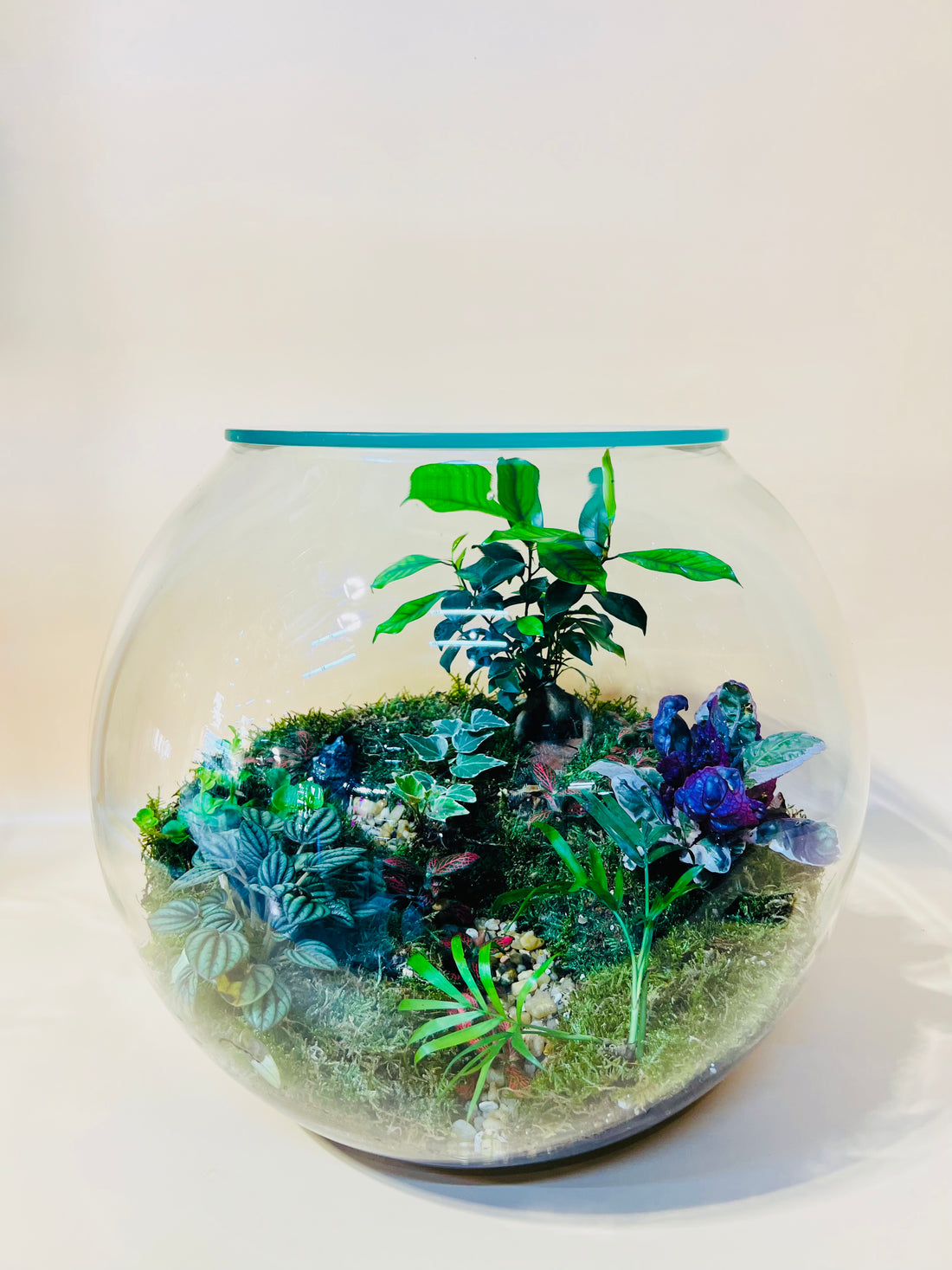 Marble Garden Terrarium