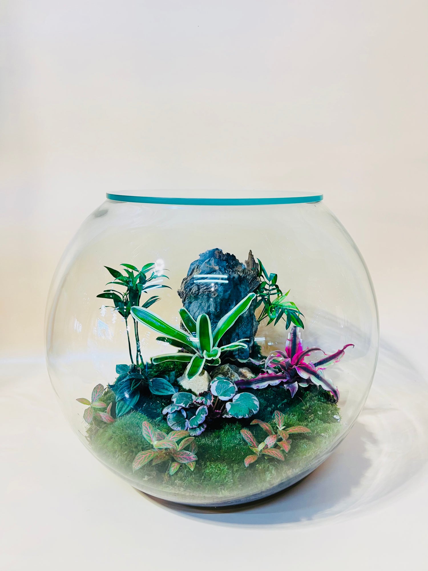 Green in the Wood Terrarium