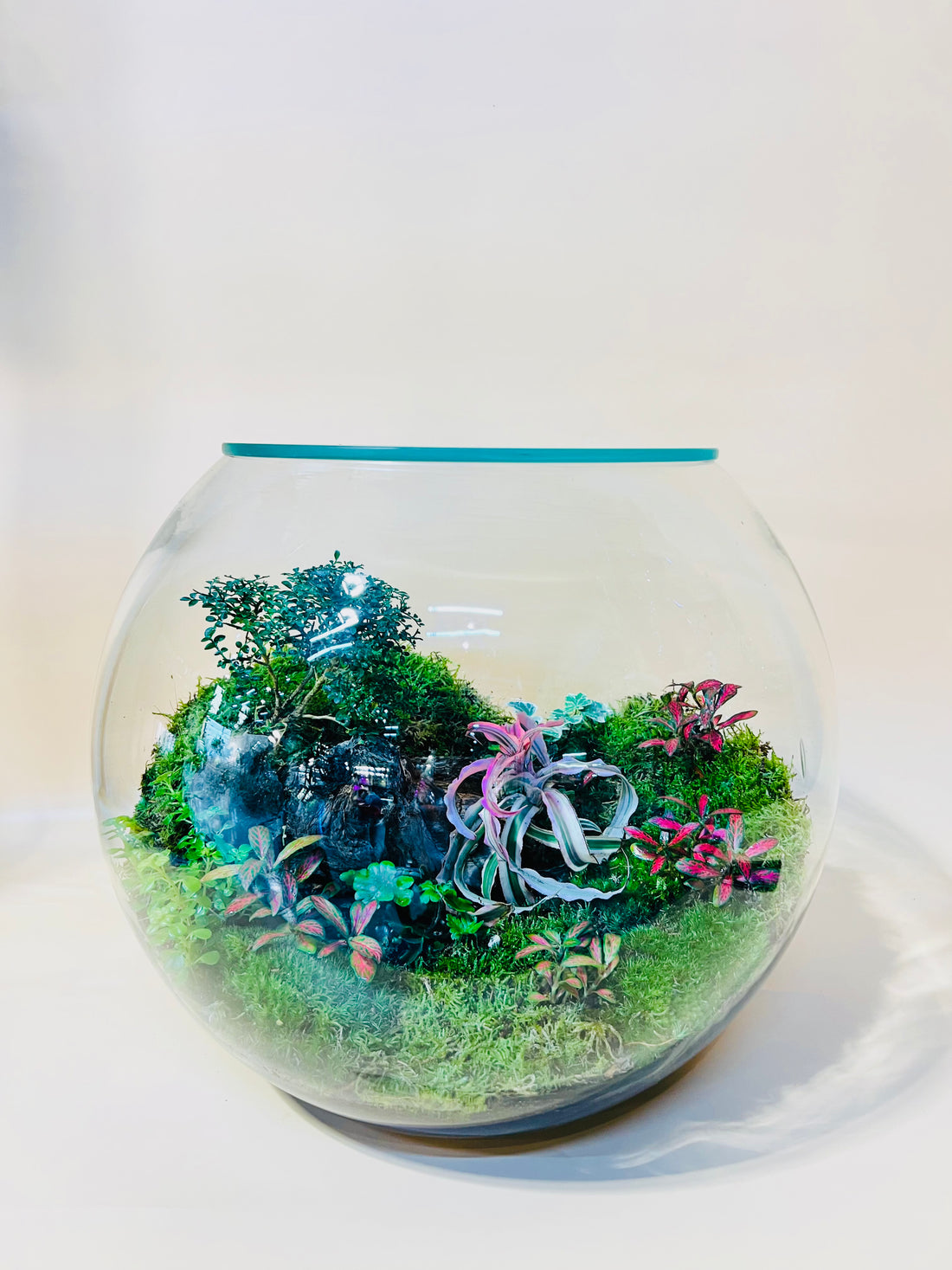 Rest Corner Terrarium