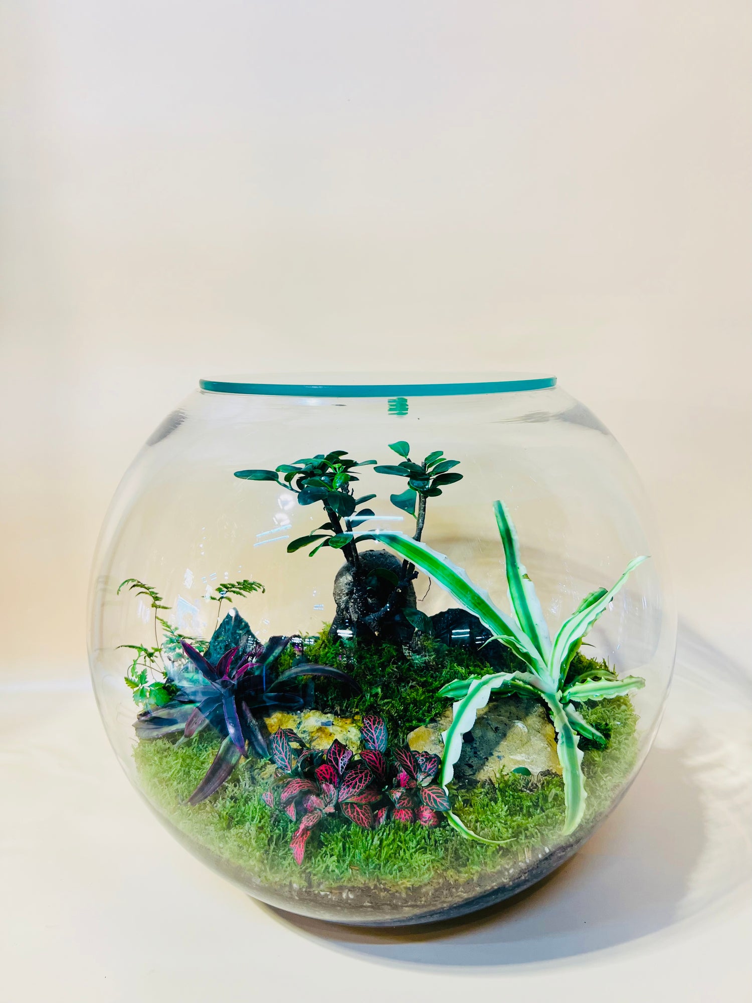 Inspiration Garden Terrarium