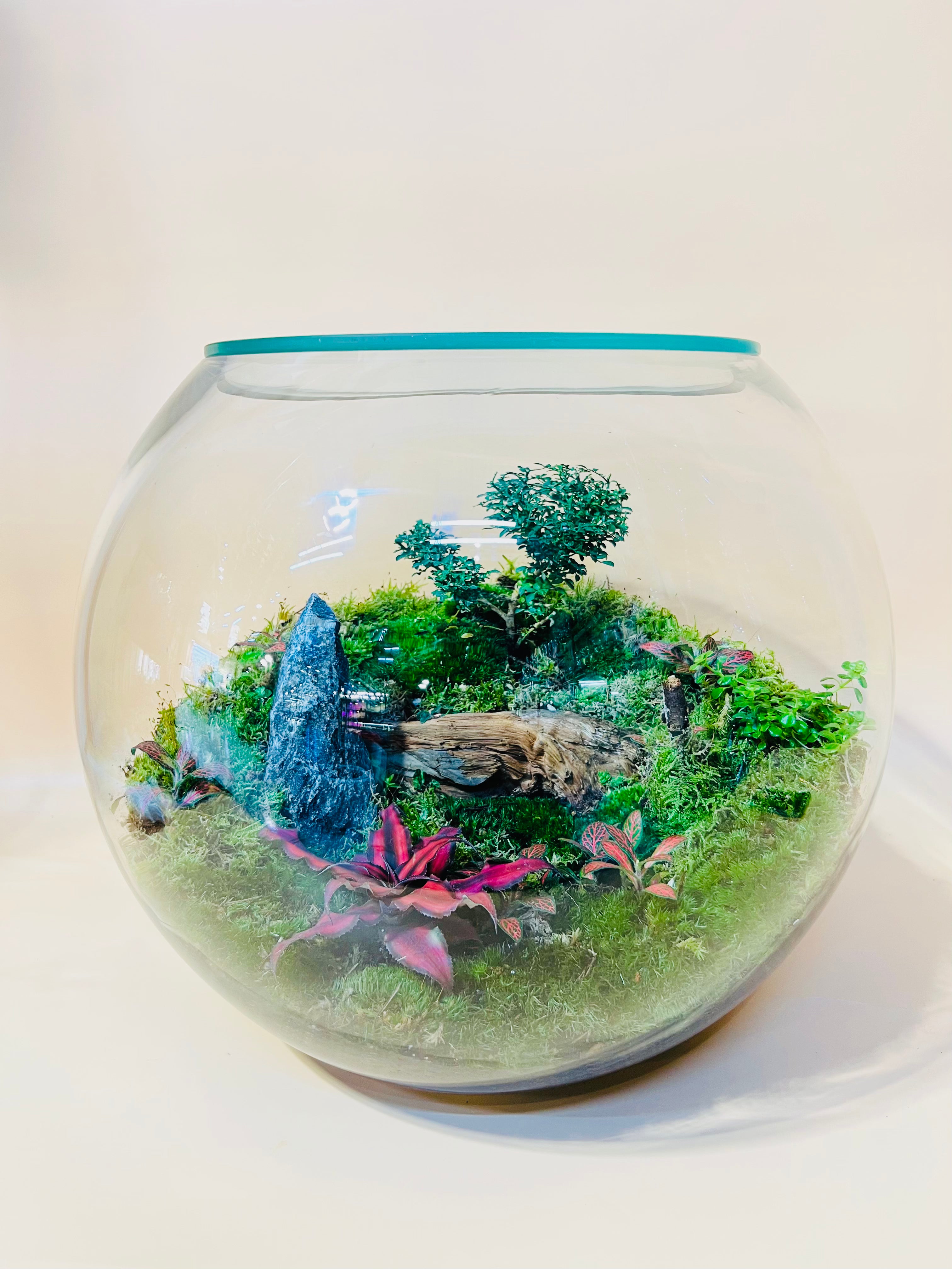 Green Fantasy World Terrarium