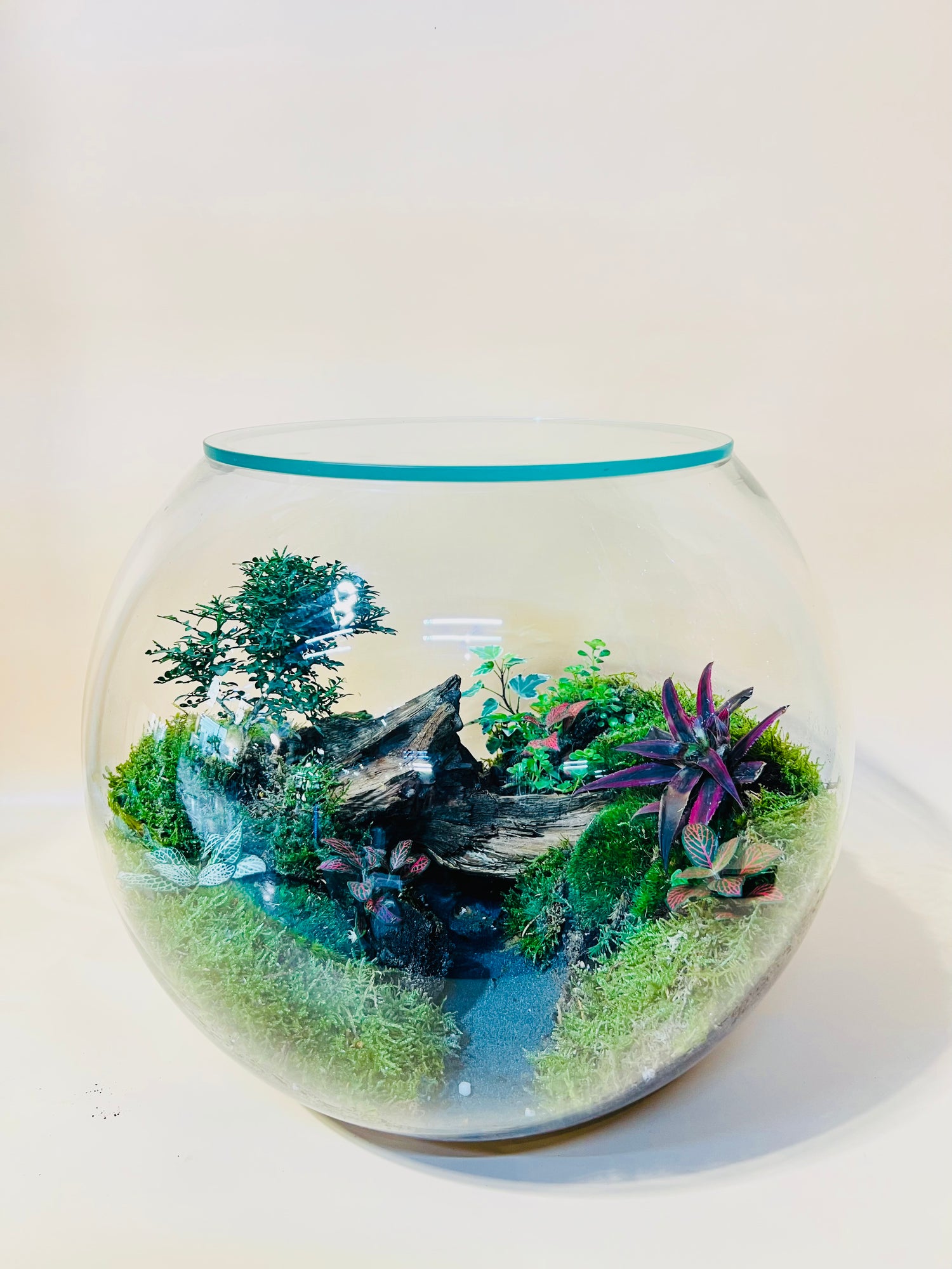 Green Meadow Terrarium