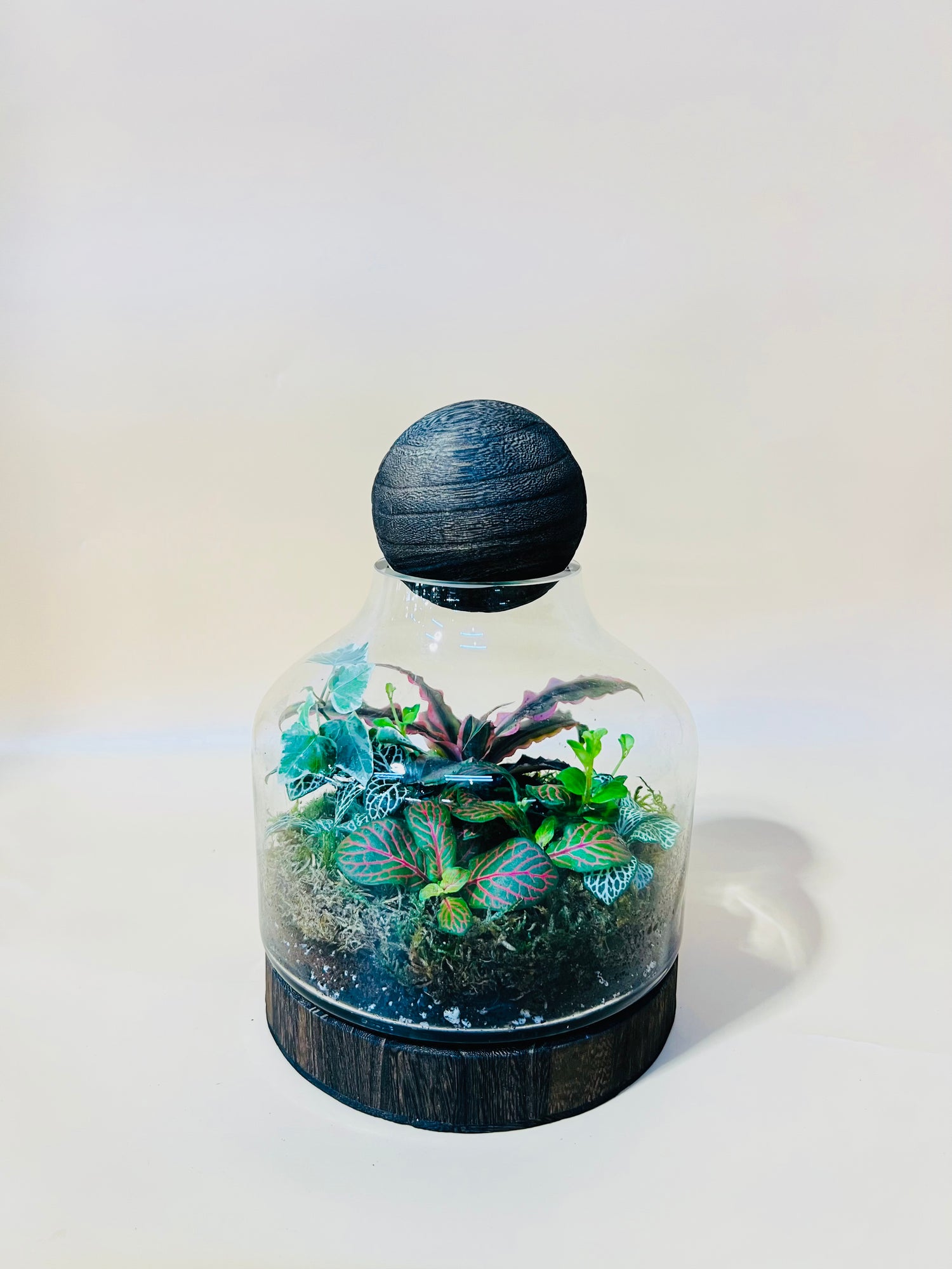 Piece Of Heaven Terrarium