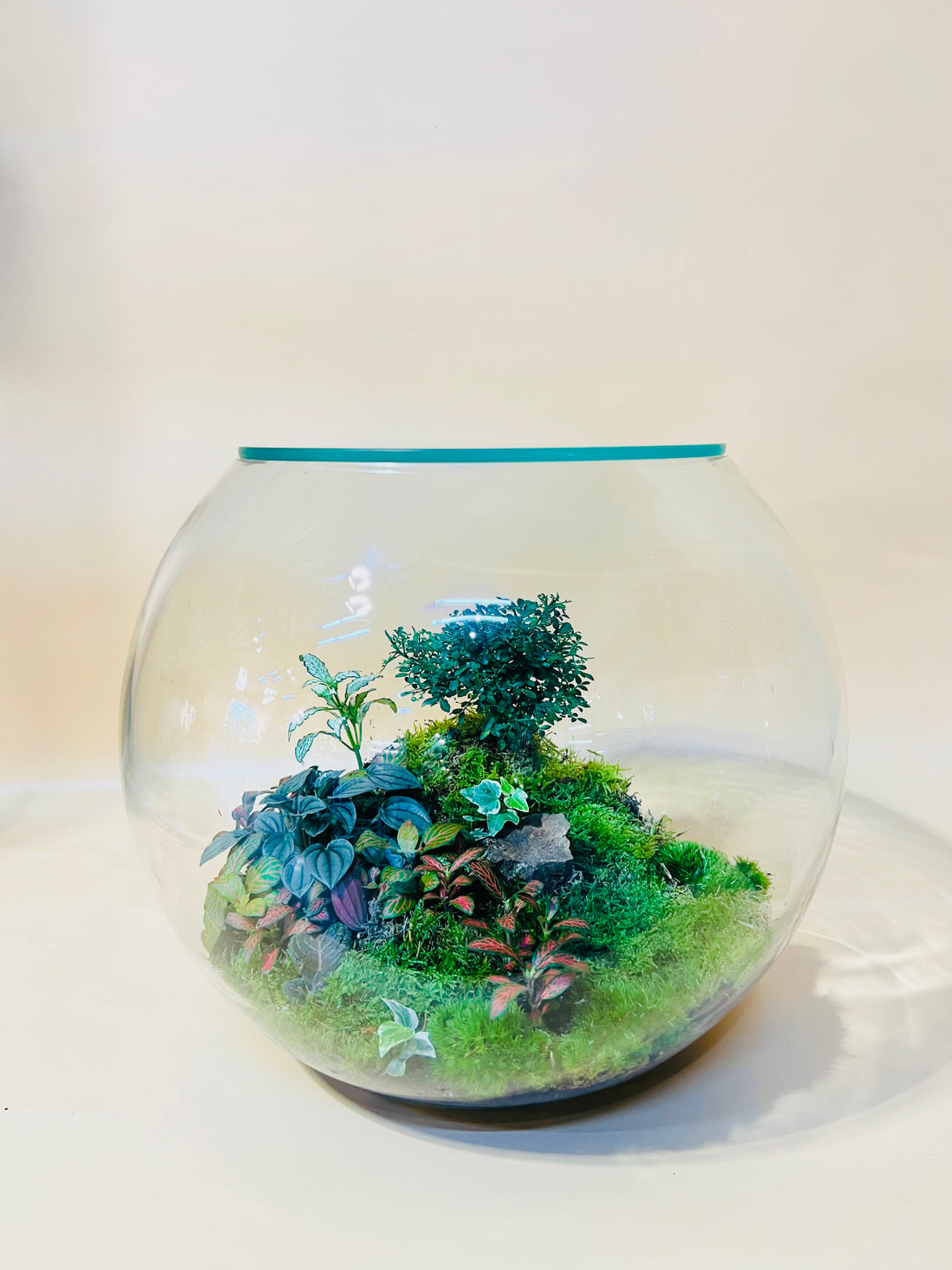 Miniature Nature World Terrarium