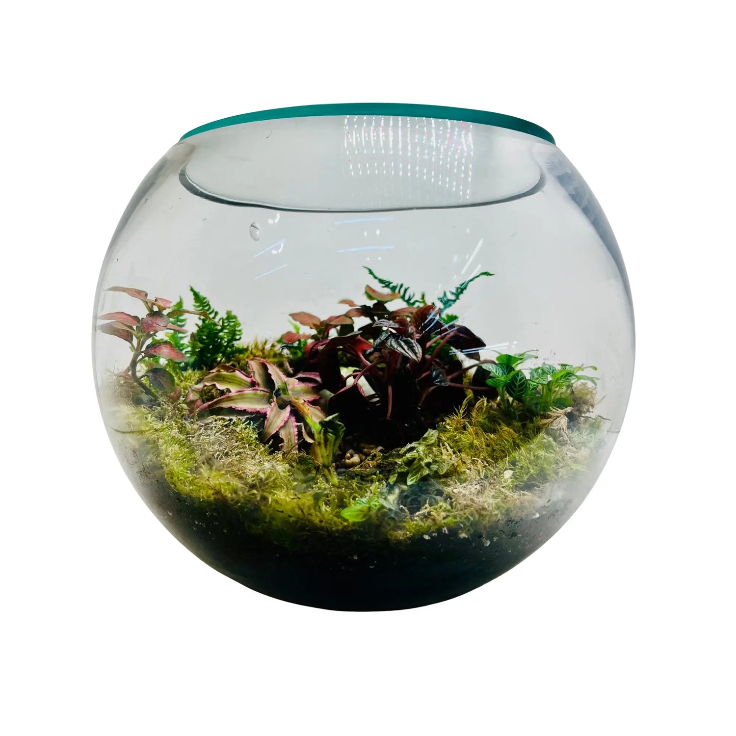 Glass Terrarium Garden Center in Dubai