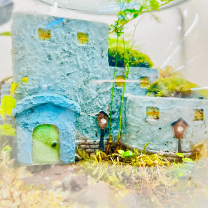 Green Magic Terrarium Closed Terrarium Perfect Living Gift