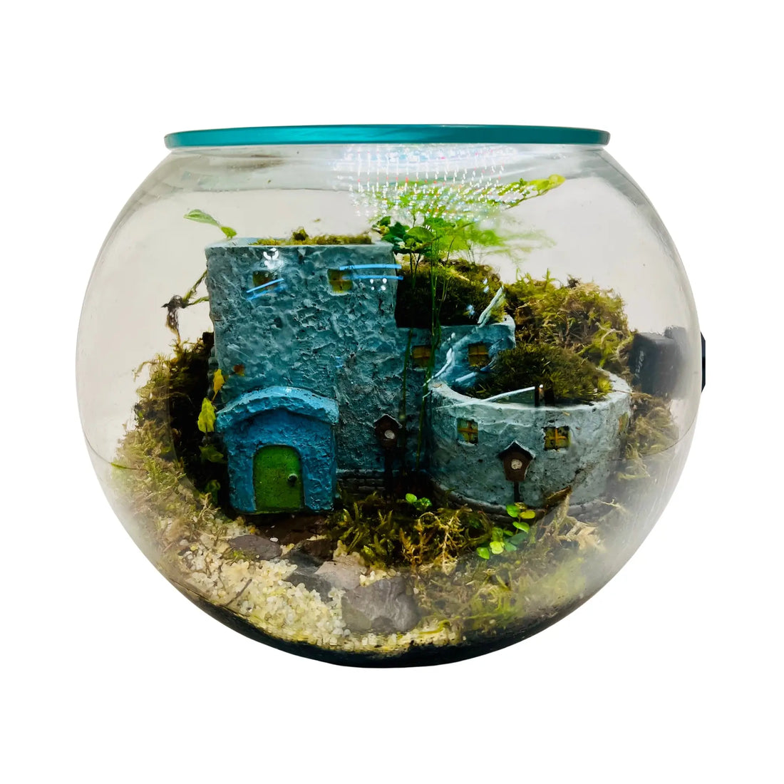 Green Magic Terrarium Closed Terrarium Perfect Living Gift