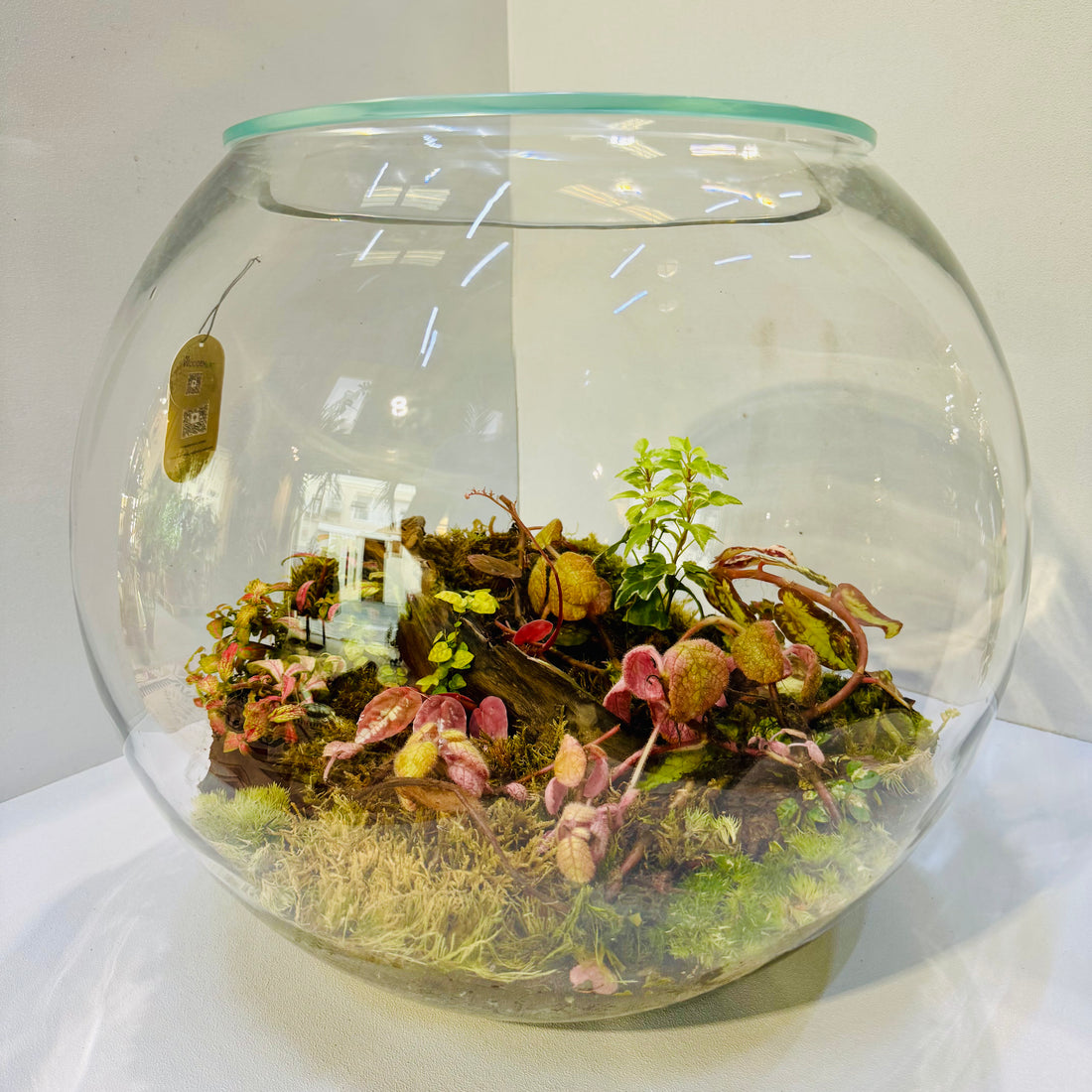 Botanical Bliss Terrarium Closed Terrarium Sustainable Living Gift Height: 38cmWidth: 38cm