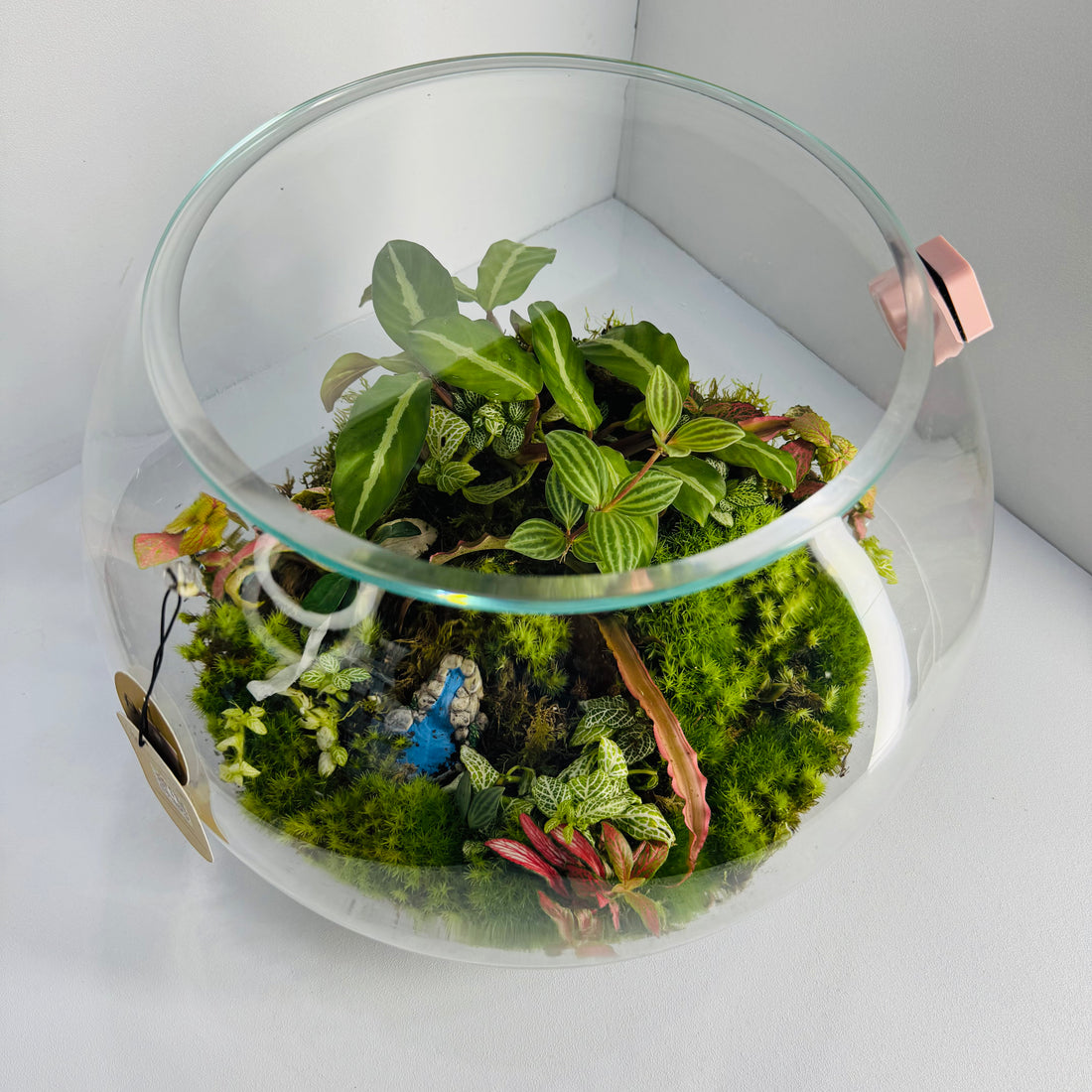 Forest Whisper Terrarium Closed Terrarium Sustainable Living Gift Height: 30cmWidth: 30cm