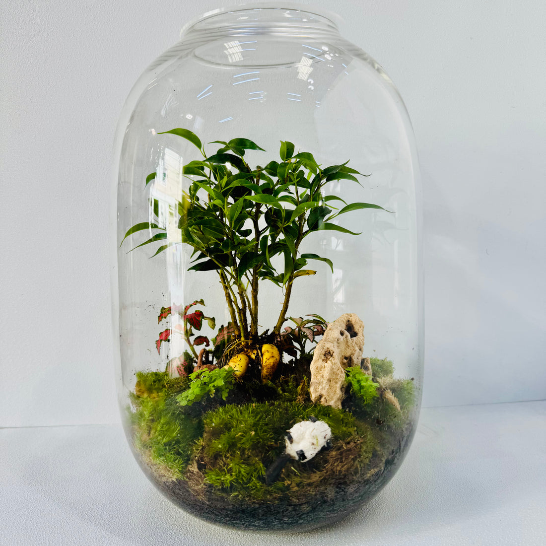 Celestial Green Terrarium Closed Terrarium Sustainable Living Gift Height: 30cm Width: 18cm