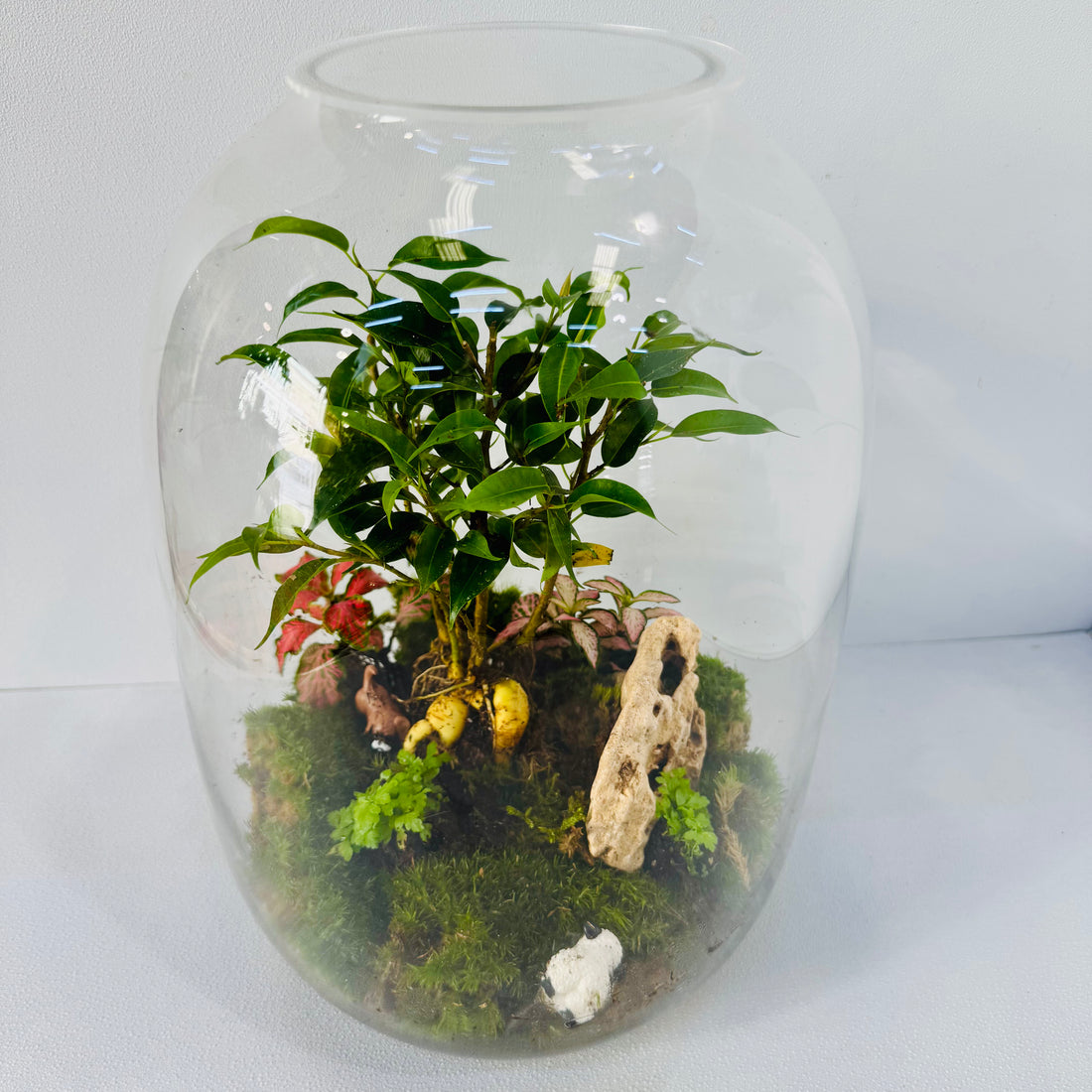 Celestial Green Terrarium Closed Terrarium Sustainable Living Gift Height: 30cm Width: 18cm