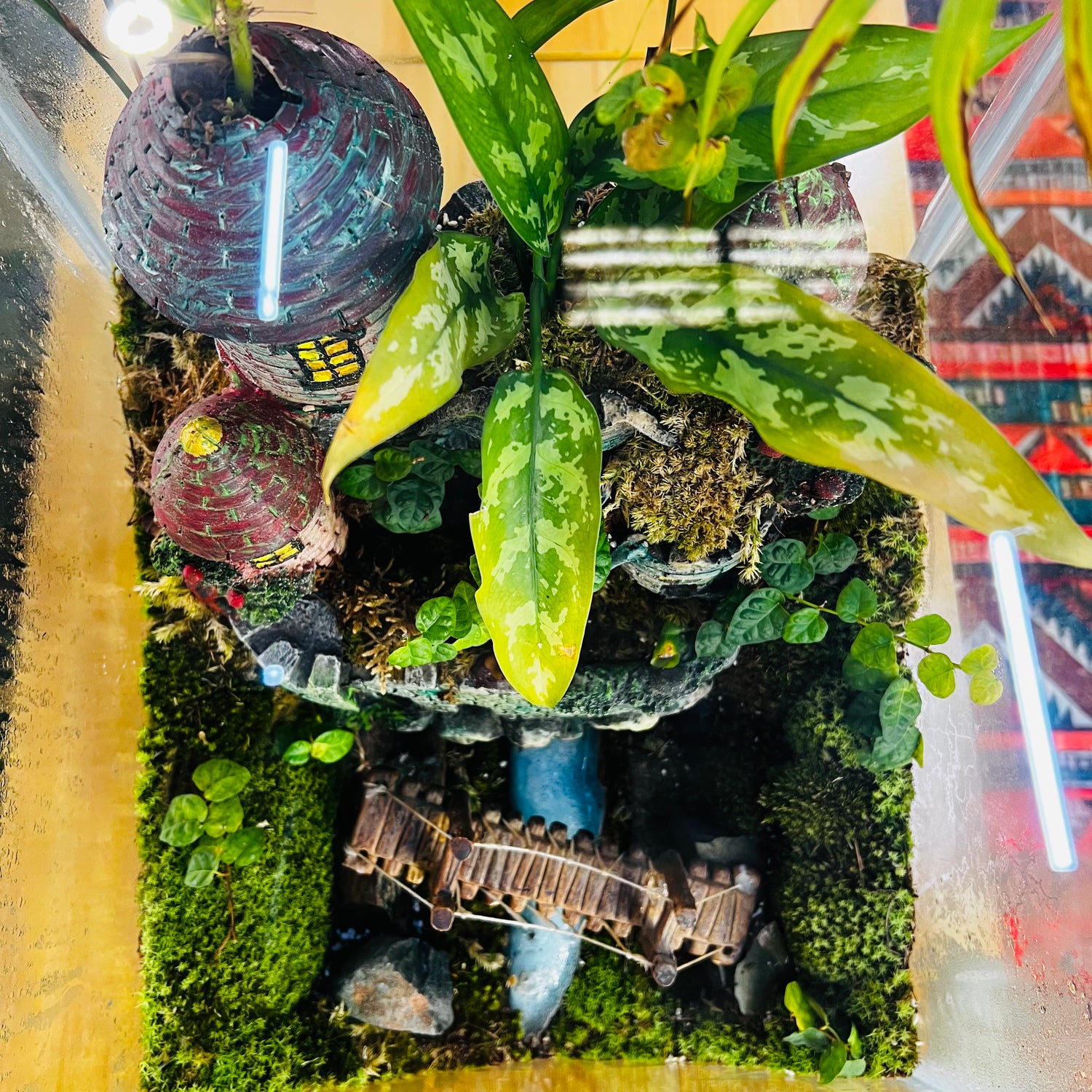 Large Handmade Terrarium with Miniature Castle – A Living Forest in Glass