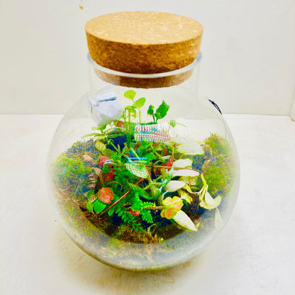 Glass  Terrarium  A Miniature Green World in A Mini Jar