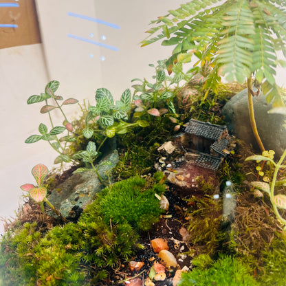 Miniature Paradise Terrarium A Peaceful Green World in Glass