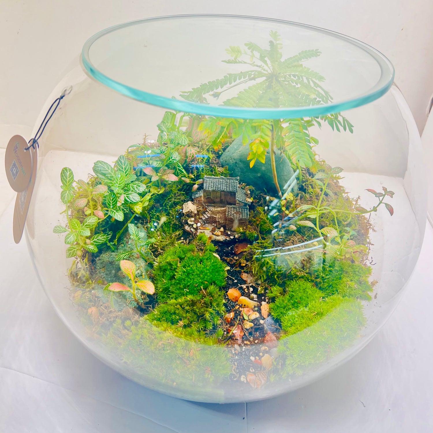 Miniature Paradise Terrarium A Peaceful Green World in Glass