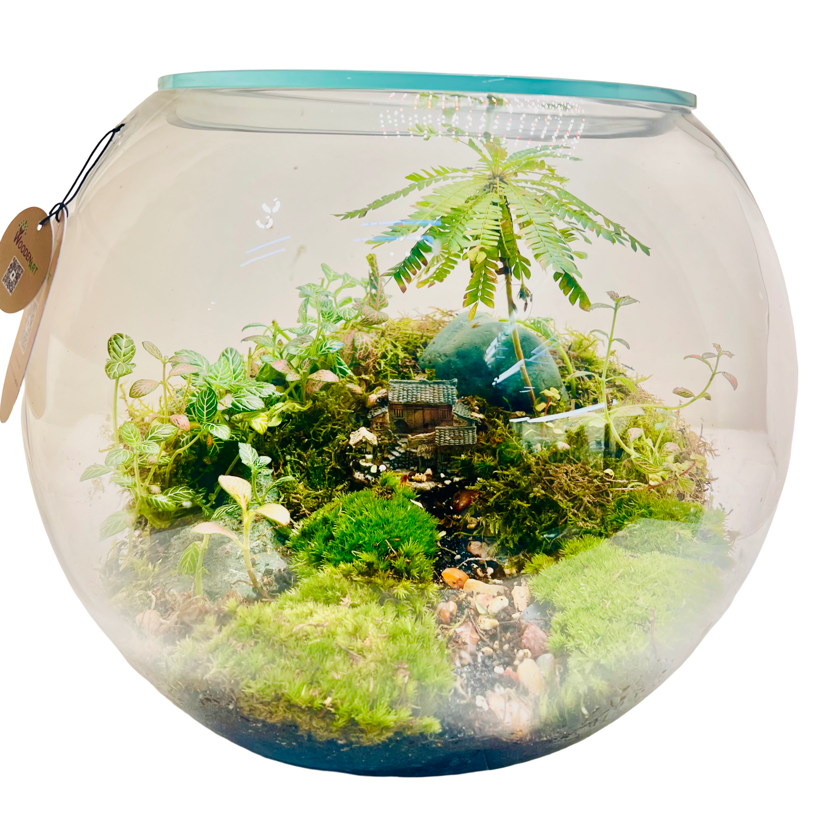 Miniature Paradise Terrarium A Peaceful Green World in Glass