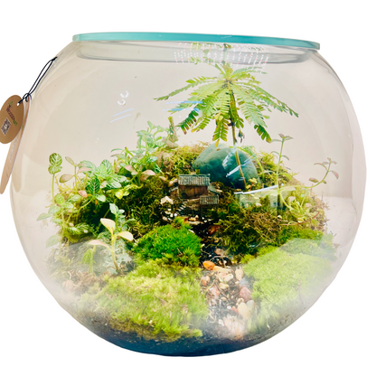 Miniature Paradise Terrarium A Peaceful Green World in Glass