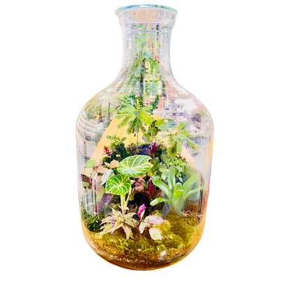 Grand Bottle Garden Terrarium Handcrafted Living Art with Tropical Plants &amp; Moss