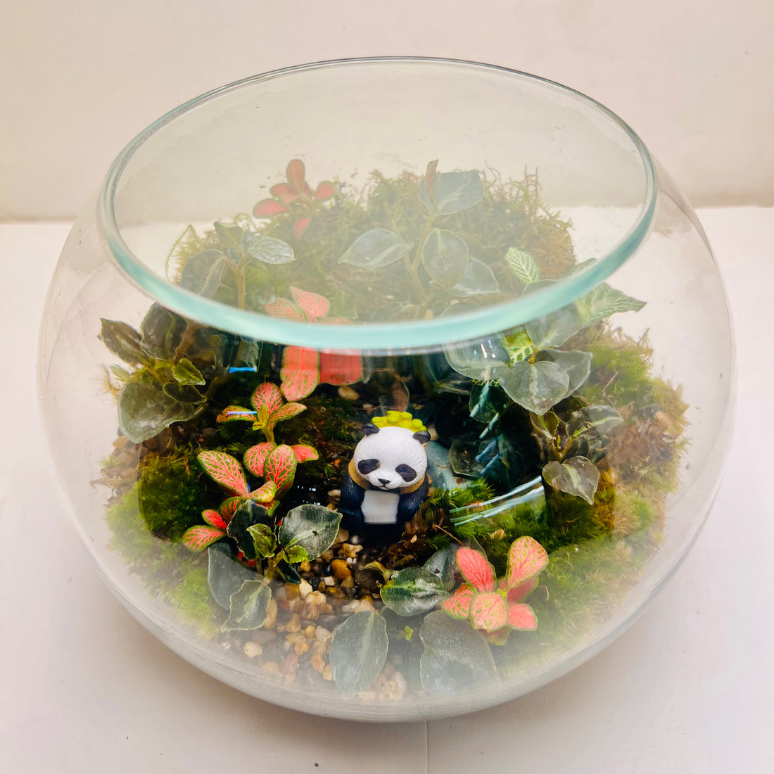 Mini Panda Forest Terrarium  A Peaceful Green World in Glass