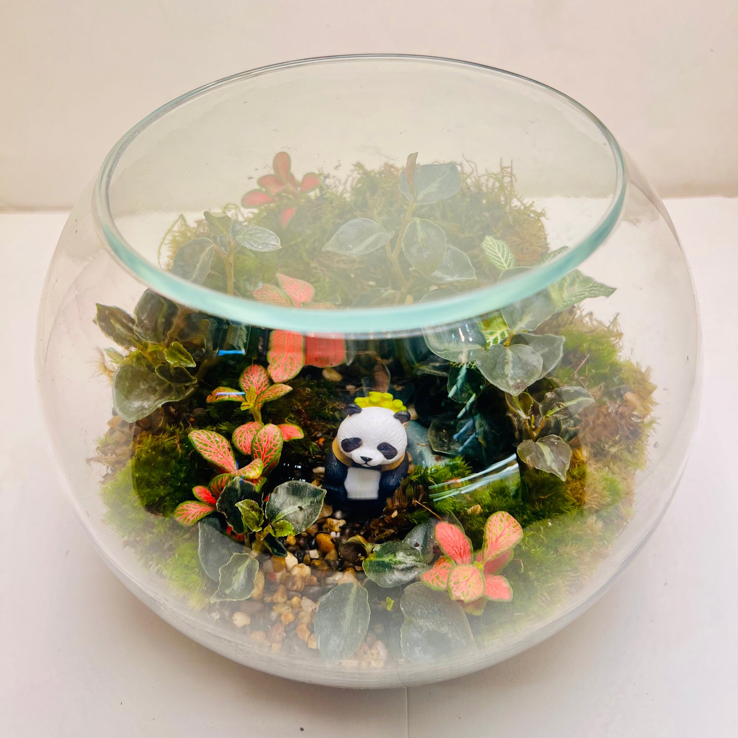 Mini Panda Forest Terrarium  A Peaceful Green World in Glass