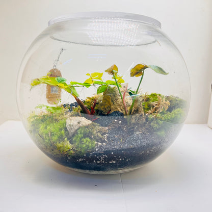 Natural Moss &amp; Red-Green Plant Decor Terrarium by WoodenArt Gifts