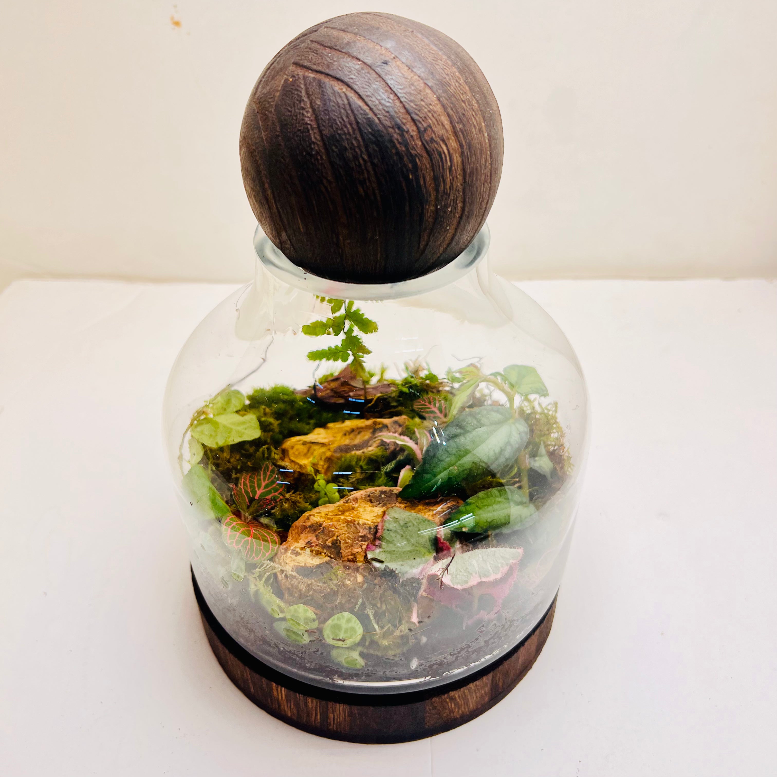 Mini Earth Living Inside This Lovely Terrariume Creted By Wooden Art Gifts