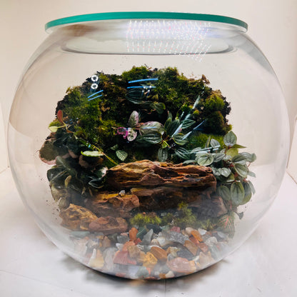 Emerald Harmony Forest Bowl Terrarium – Nature Encapsulated in Art