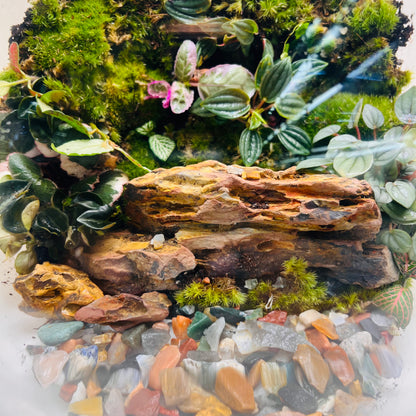 Emerald Harmony Forest Bowl Terrarium – Nature Encapsulated in Art