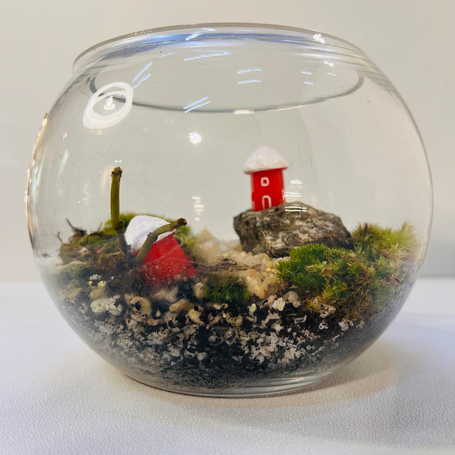 Enchanting Mini Forest Bowl Terrarium -Special For this Christmas 🎅 Hieght : 16cm Width : 17cm