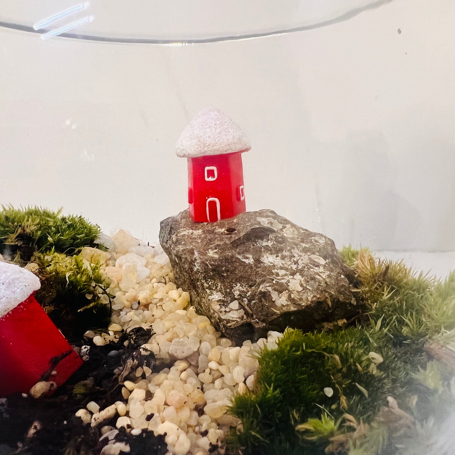 Enchanting Mini Forest Bowl Terrarium -Special For this Christmas 🎅 Hieght : 16cm Width : 17cm