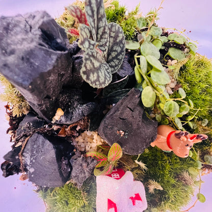 HouseChristmas Wonderland Moss Terrarium – Festive Mini Landscape with Live Plants, Reindeer &amp; Snowy Hieght 16cm Width 15cm