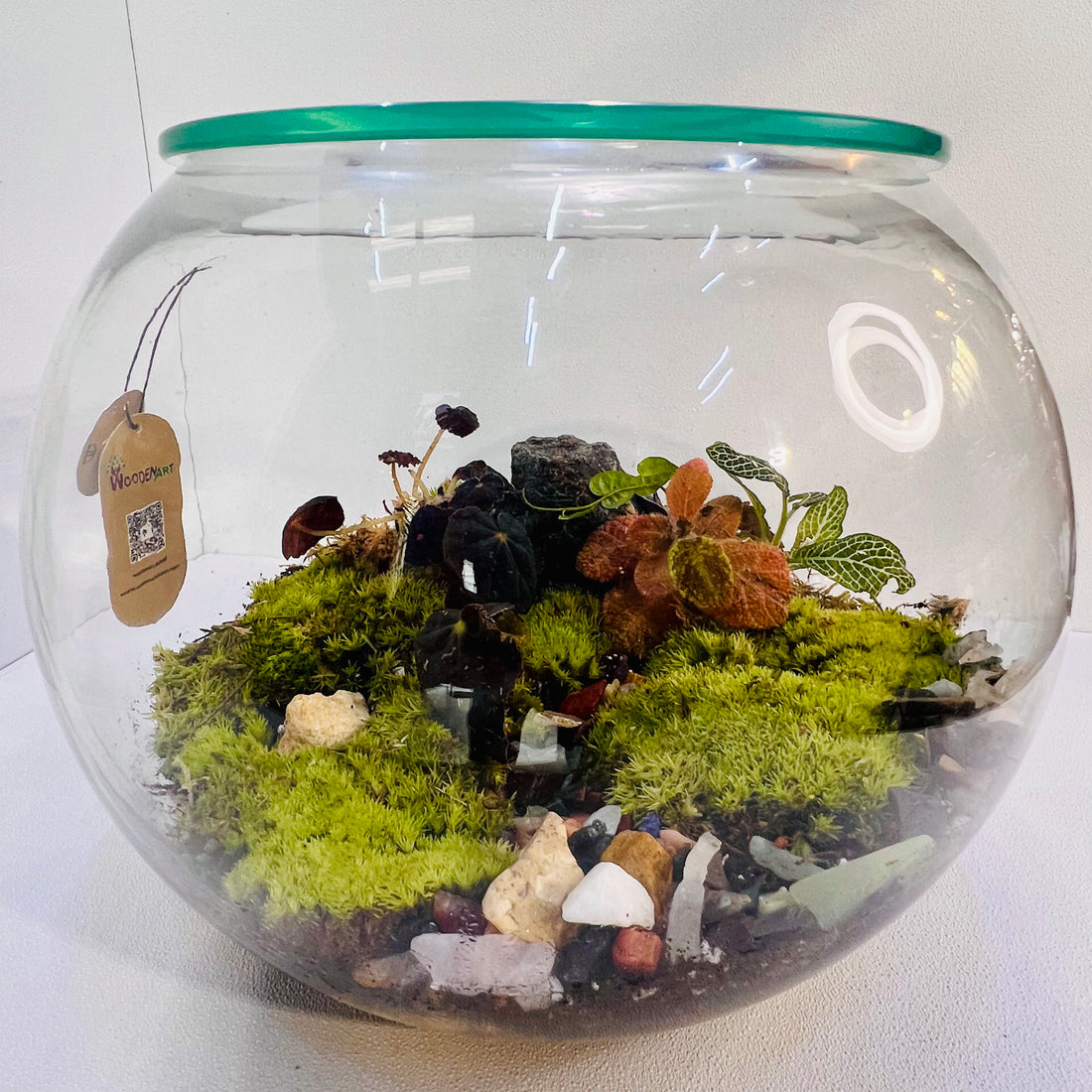 Premium Round Glass Terrarium with  Moss &amp; Miniature Forest Design Hieght : 18cm Width : 20cm