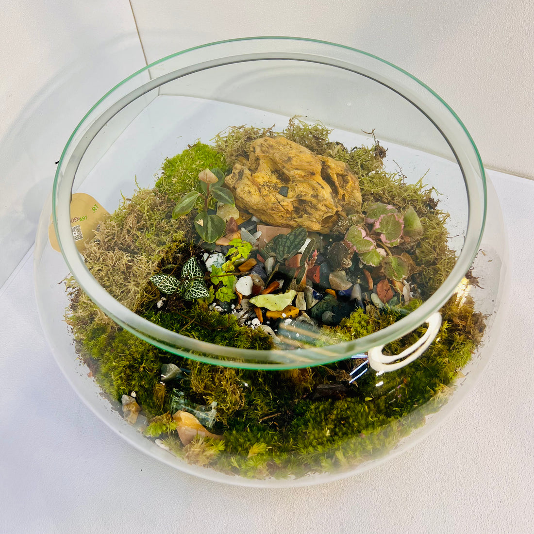 Secret Garden Globe Terrarium Closed Terrarium Sustainable Living Gift Height: 18cmWidth: 28cm