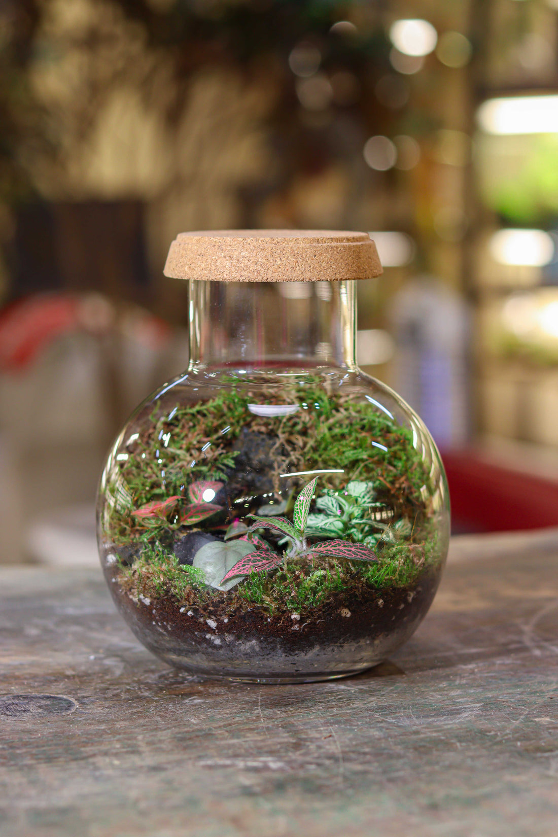 Charm Farm Bubble Terrarium