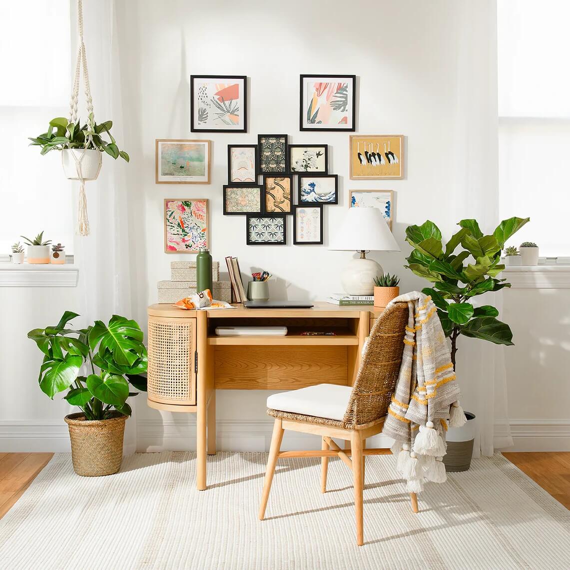 Indoor Plants Study Room