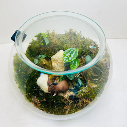 Mini Earthscape Terrarium Closed Terrarium Perfect Living ECO System Gift