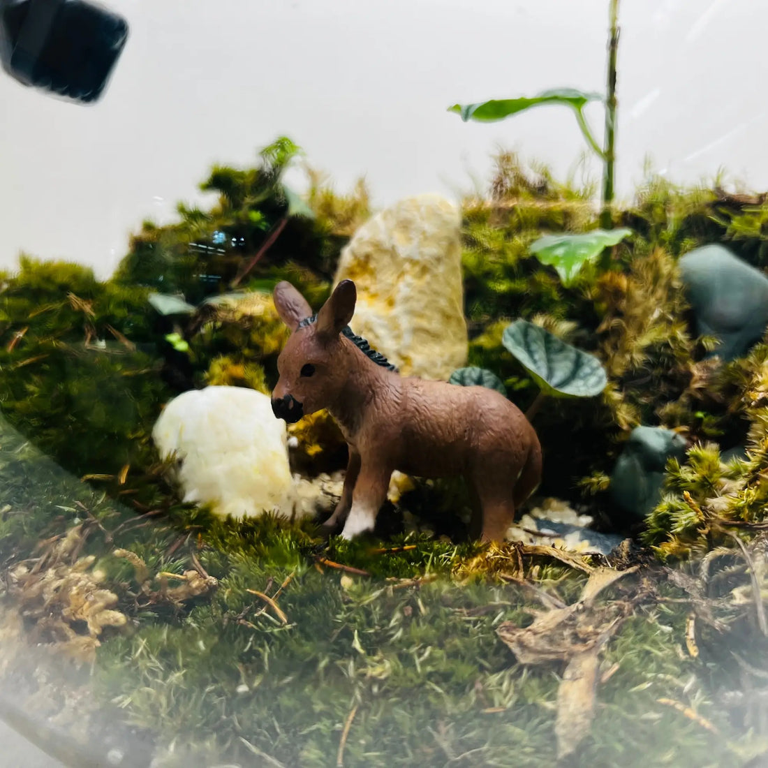 Mini Earthscape Terrarium Closed Terrarium Perfect Living ECO System Gift