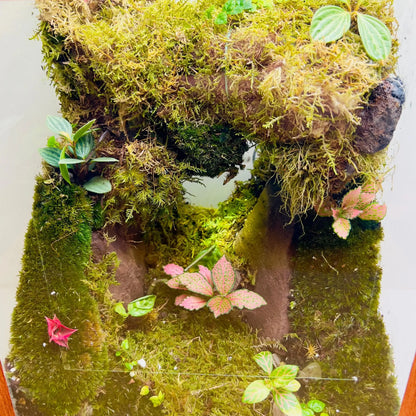 Moss Cave Terrarium for Corporate Gifting