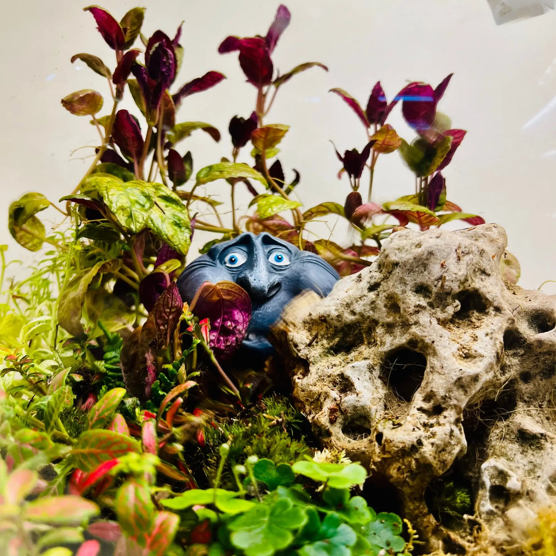 Secret Garden Globe Terrarium in Dubai