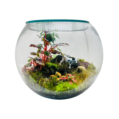 Terrarium Garden Center in Dubai