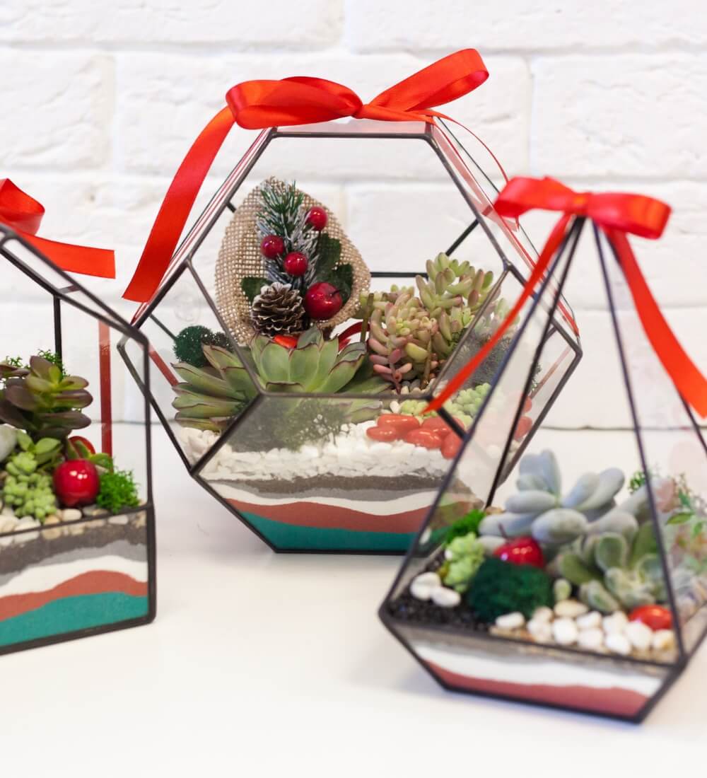 Terrarium Gift Ribbon