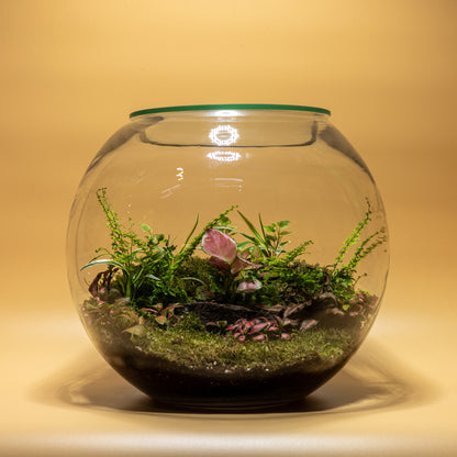 Nature’s whispers Terrarium