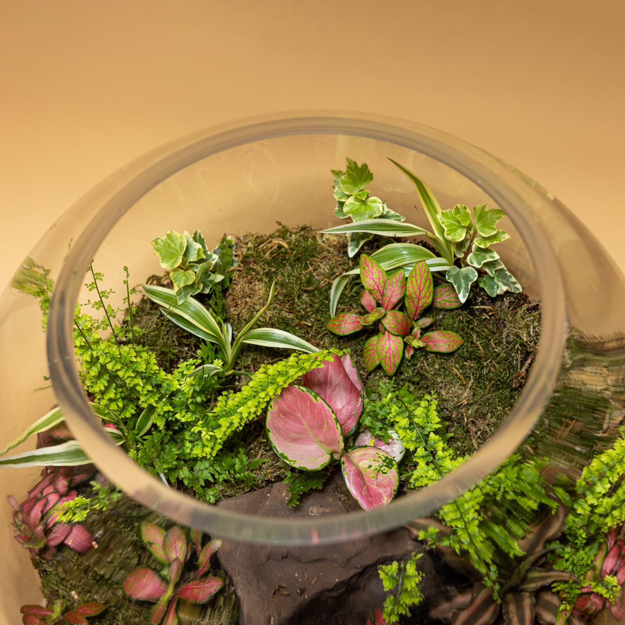 Nature’s whispers Terrarium