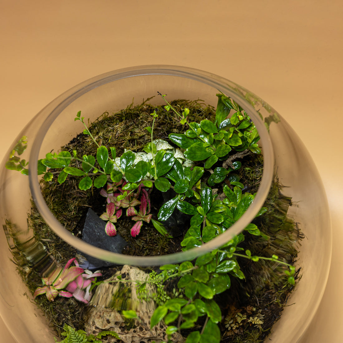 Green Jewel Garden Terrarium