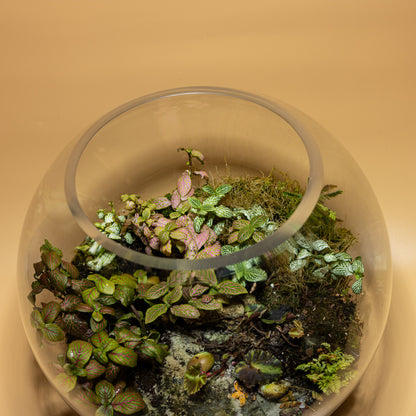 Terrarium Oasis of Magic